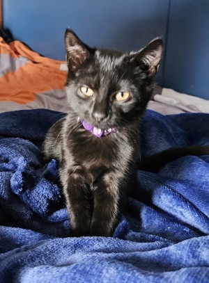Photo of Sasha