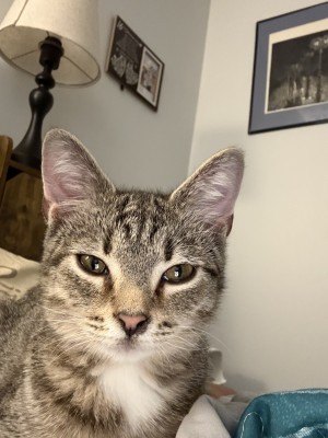 Photo of Jett