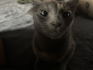 Photo of Mu&ntilde;eca