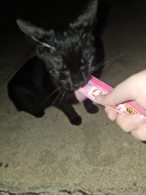 Photo of Little Dude