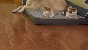 Photo of Cali And Clara