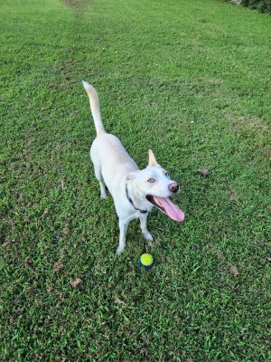 Photo of Maverick