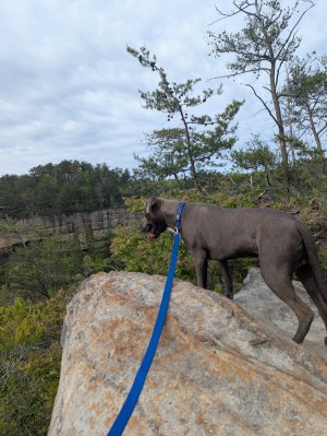 Photo of Tobias