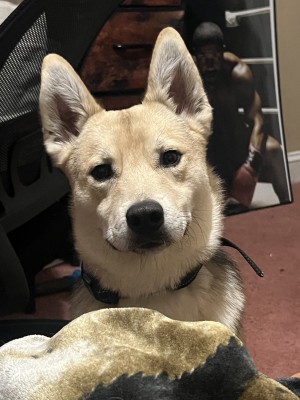 Photo of Bruce