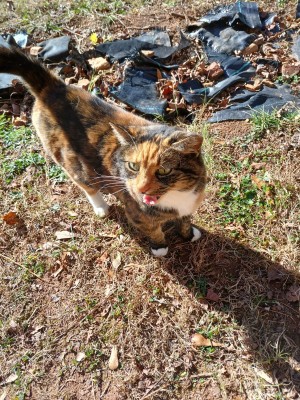 Photo of Keira