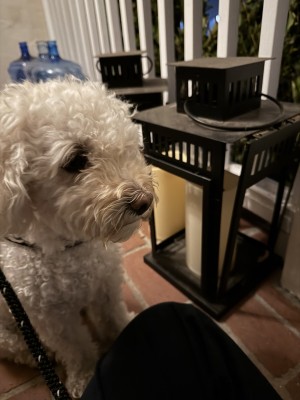 Photo of George