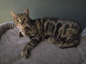 Photo of Jack And Rita