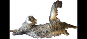 Photo of Freyja