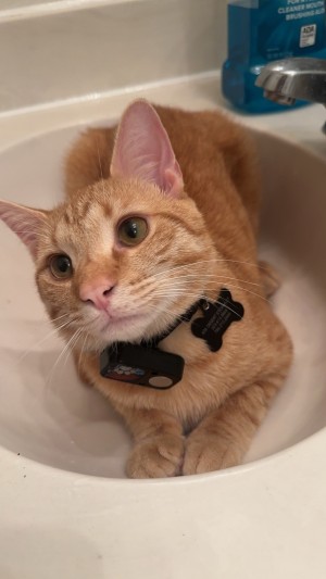 Photo of Melo