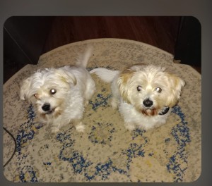 Photo of Jack And Jill