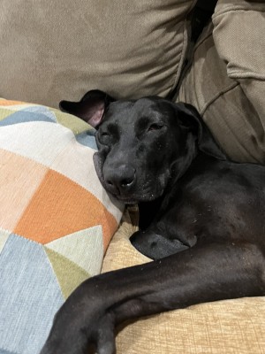 Photo of Marcy