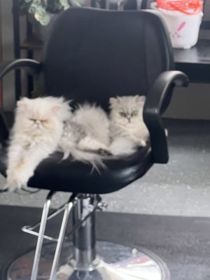 Photo of Khaleesi And Princess