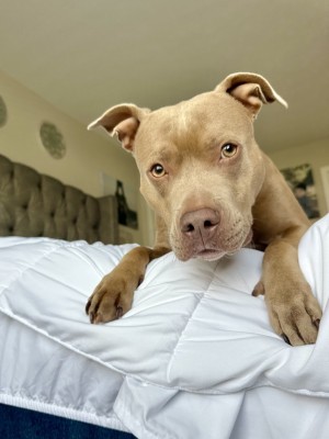 Photo of Indy