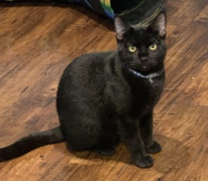 Photo of Charlie