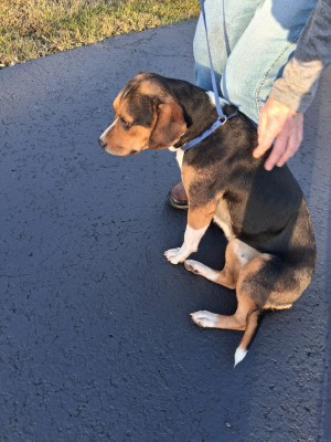 Photo of Macy