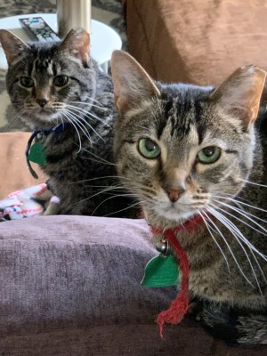 Photo of Buster And Madi