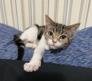 Photo of Little