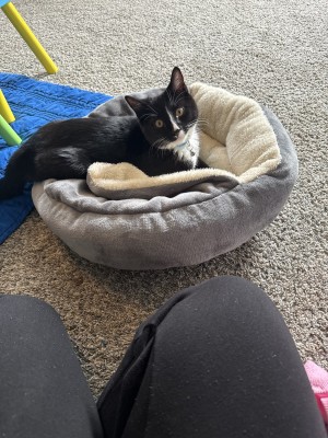 Photo of Reggie