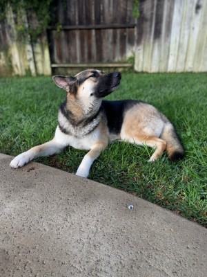 Photo of Thyra