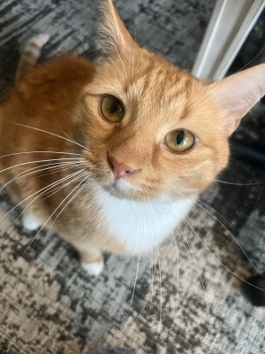 Photo of Sherb
