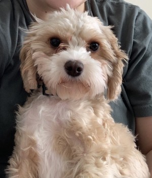 Photo of Mia