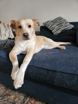 Photo of Molly