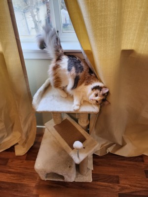 Photo of Dyna