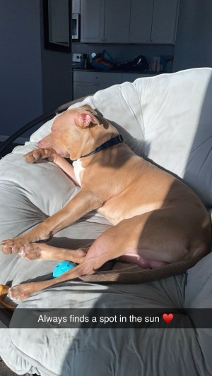 Photo of Blue