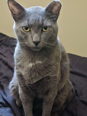 Photo of Squeak