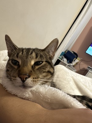 Photo of Tom