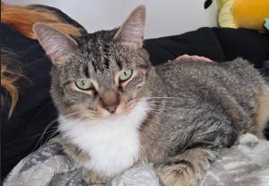 Photo of Persephone