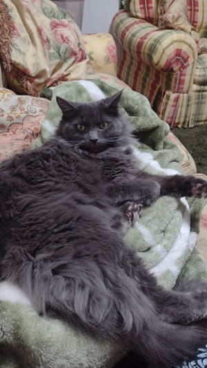 Photo of Oliver