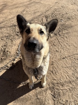 Photo of Hercules