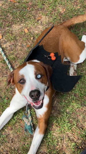 Photo of Nelly