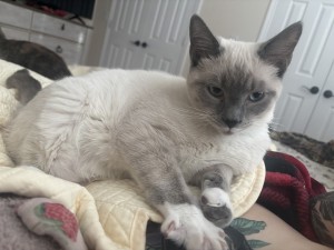 Photo of Gus