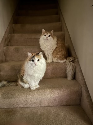 Photo of Cali And Clara