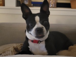 Photo of Stanley
