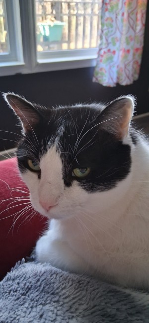 Photo of BRUCE