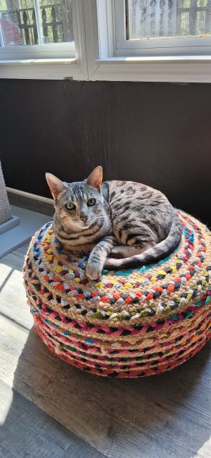 Photo of NUBIS