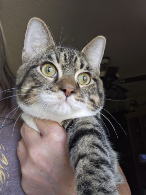 Photo of Fenix