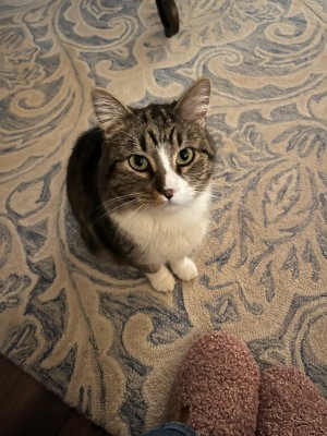 Photo of Tamino
