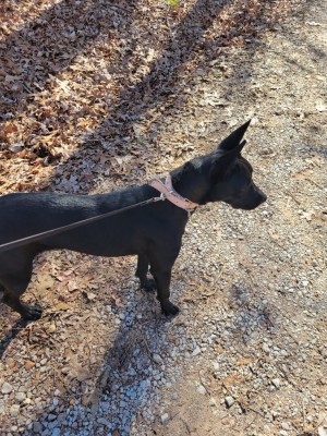 Photo of Freya