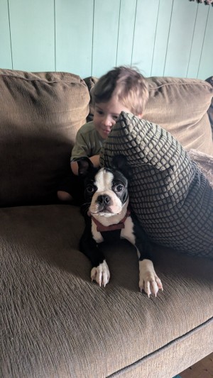 Photo of Oswald/Ozzy