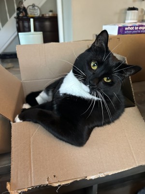 Photo of PJ