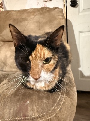 Photo of Claire