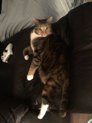 Photo of Doop