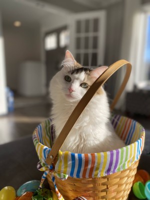 Photo of Lucy