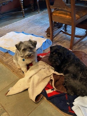 Photo of Charlie And Griffey