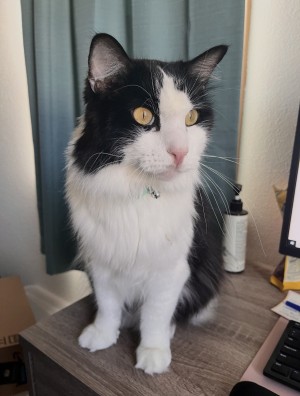 Photo of Fredrick