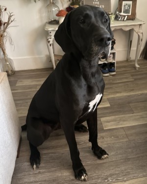 Photo of Hera